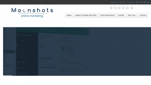 logo Moonshots Online Marketing
