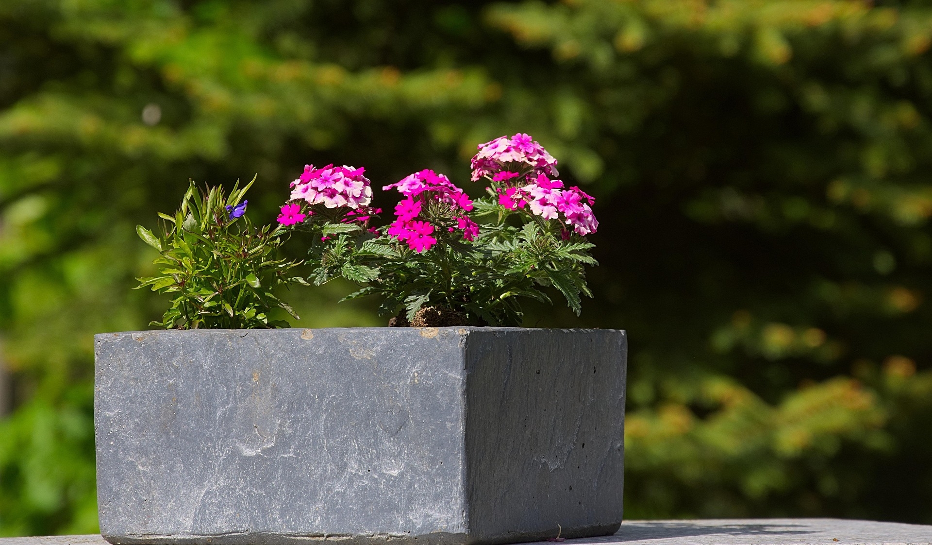 Slim kiezen voor tuinbakken op balkon en in de tuin