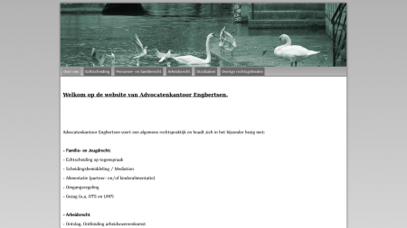 Advocaat Mr P J J Engbertsen