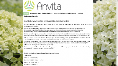 logo Anvita Bewindvoering & Financiele Dienstverlening