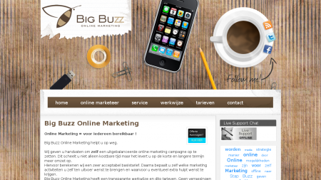 Big Buzz Online Marketing