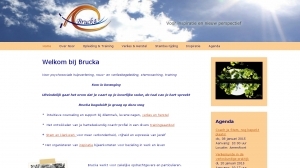 logo Brucka Coaching & Training