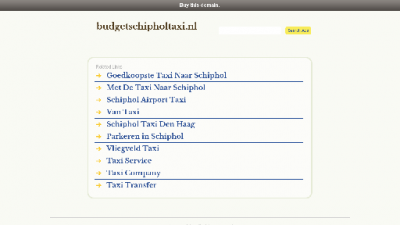 logo Budget Schiphol Taxi