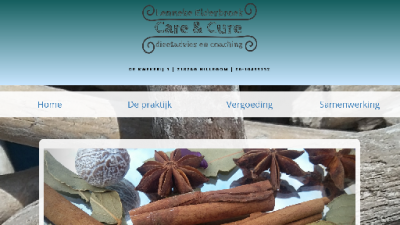logo Care & Cure