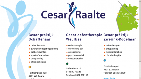 Cesar Oefentherapie M W T Zwerink-Kogelman