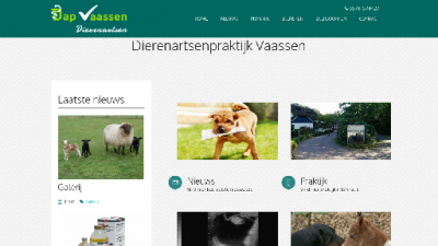 logo Vaassen Dierenartsenpraktijk