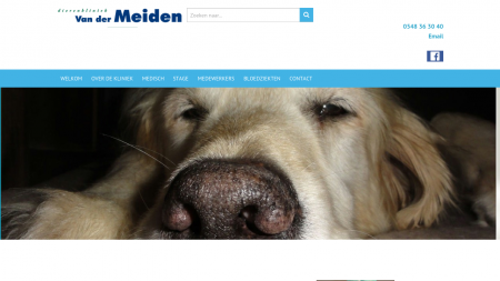 Meiden Dierenarts C J vd