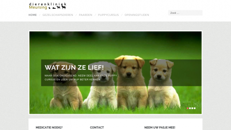 Meursing Dierenkliniek
