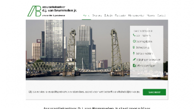 logo Brummelen jr Assurantiekantoor  D J van