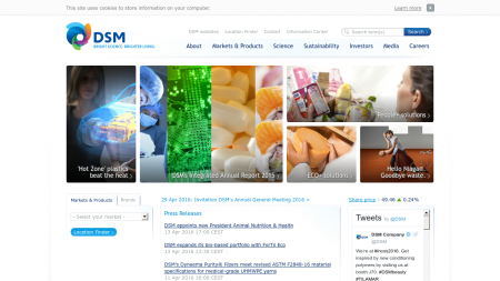DSM Resins BV