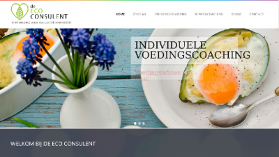 logo Eco Consulent De