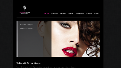 logo Flavour Visagie
