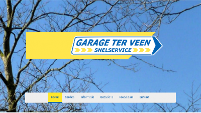 logo Veen Snelservice Garage Ter
