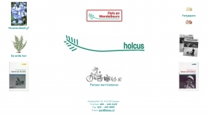 logo Holcus