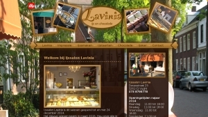 logo Lavinia IJssalon