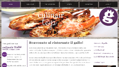 logo Ristorante IL Gallo