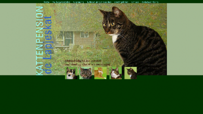 logo Kattenpension Lapjeskat De