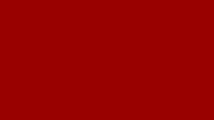 logo Hesseling Klusservice Venlo Hans