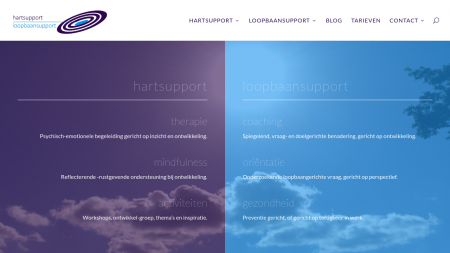 Loopbaansupport