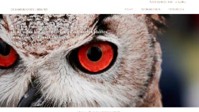logo Oliflo Business Events Agency