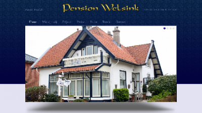 logo Welsink Pension