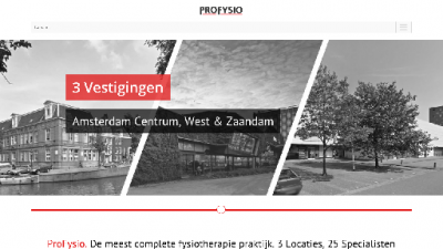 logo ProFysio