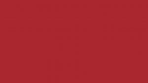 logo Psychologenpraktijk  Rosmalen