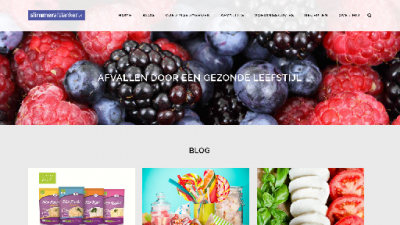 logo Slimmerafslanken.nl