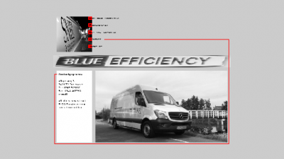 logo Snel Transporten Lopikerwaard BV