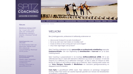 Spitz Coaching