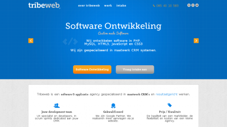 Tribeweb Online Marketing