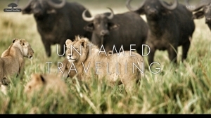 logo Untamed Travelling