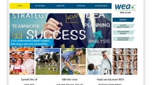 logo Accountants  & Adviseurs WEA Gouda
